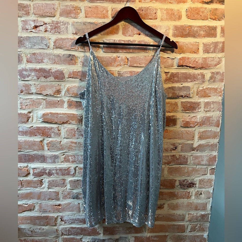 Silver Sparkle Sequin sheath dress